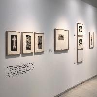 Imagen en alta resolución 19