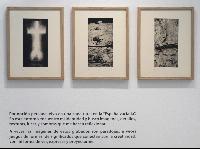 Imagen en alta resolución 25