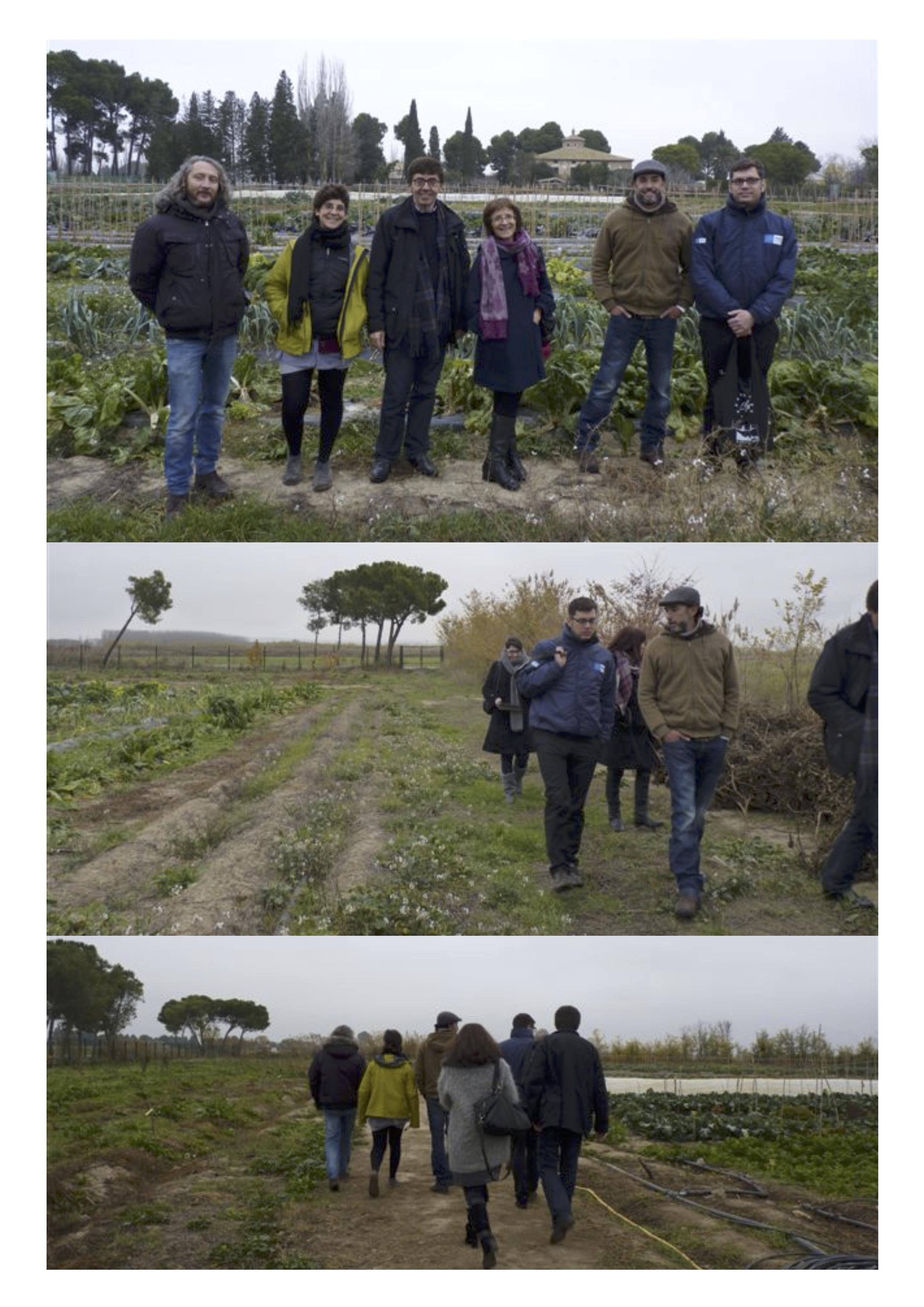 Pulsa para ver la imagen en grande