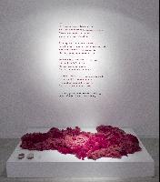 Imagen en alta resolución 3