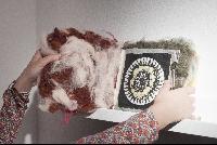 Imagen en alta resolución 5