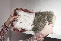 Imagen en alta resolución 6