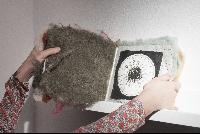 Imagen en alta resolución 7