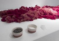 Imagen en alta resolución 10