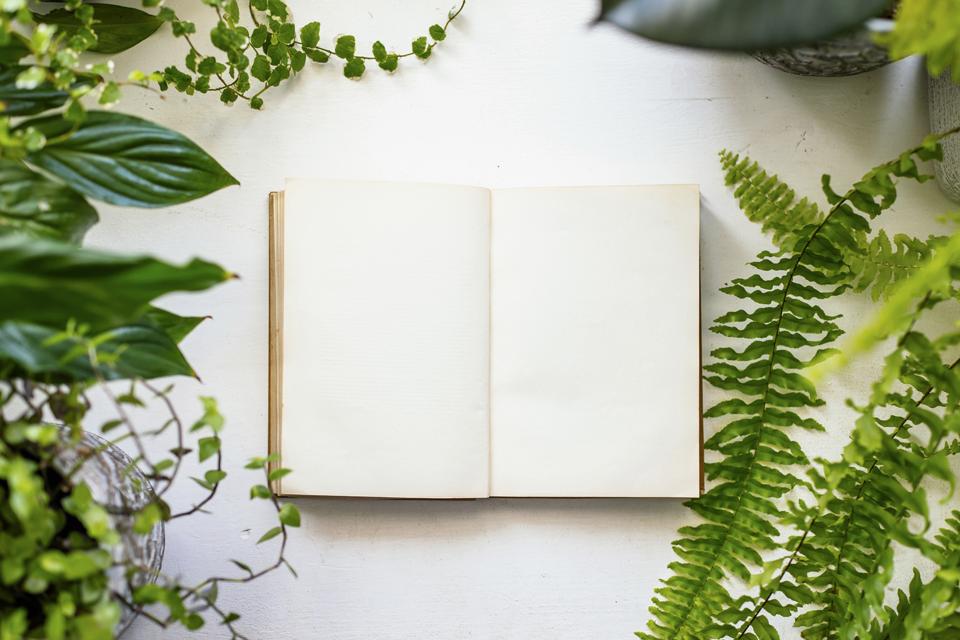 Pulsa para ver la imagen en grande