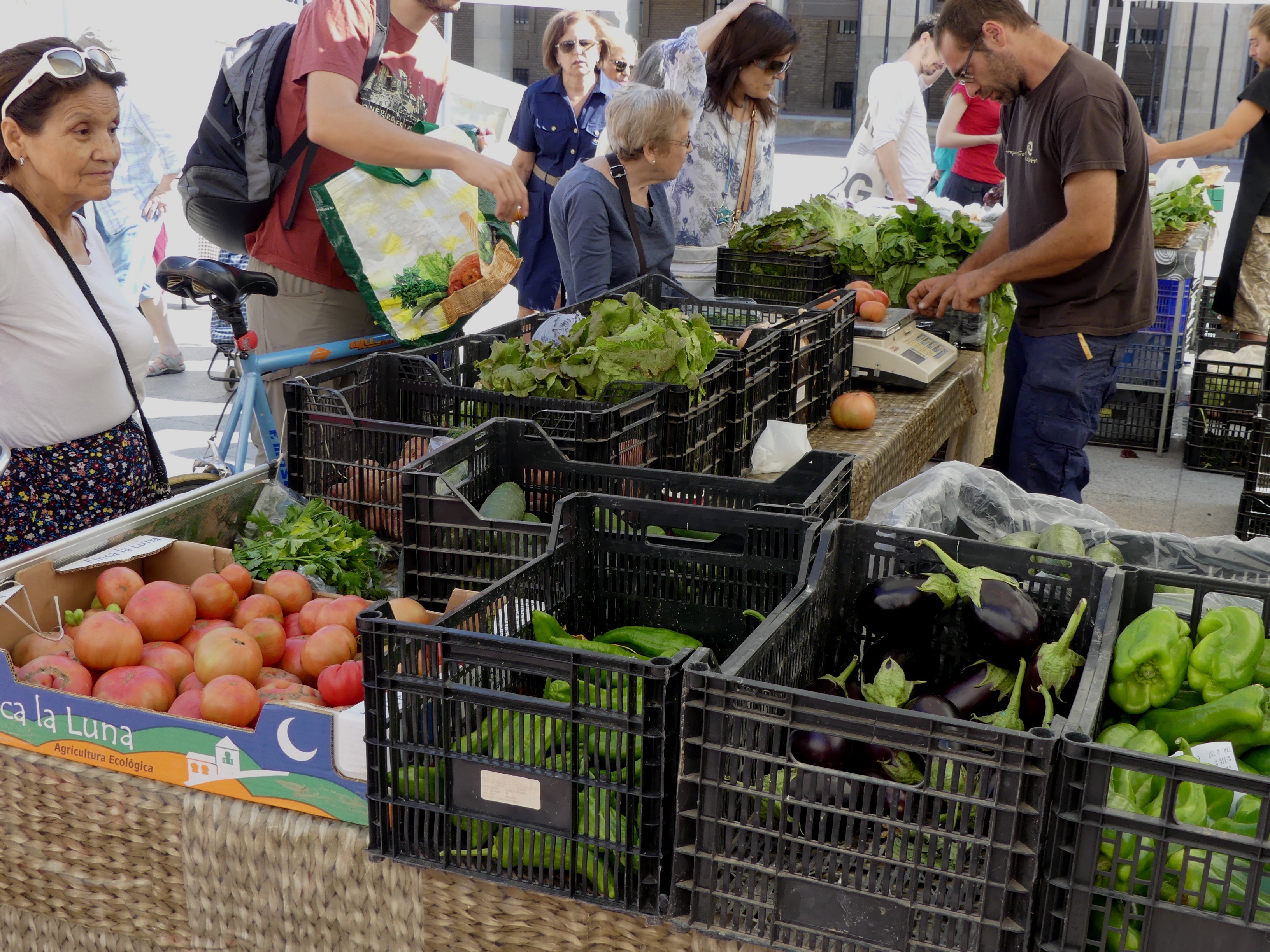 Pulsa para ver la imagen en grande