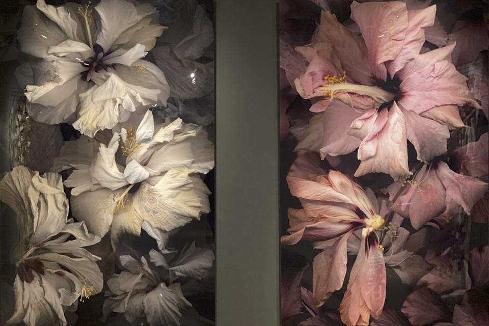 Pulsa para ver la imagen en grande