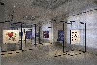 Imagen en alta resolución 9