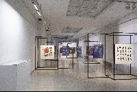 Imagen en alta resolución 8