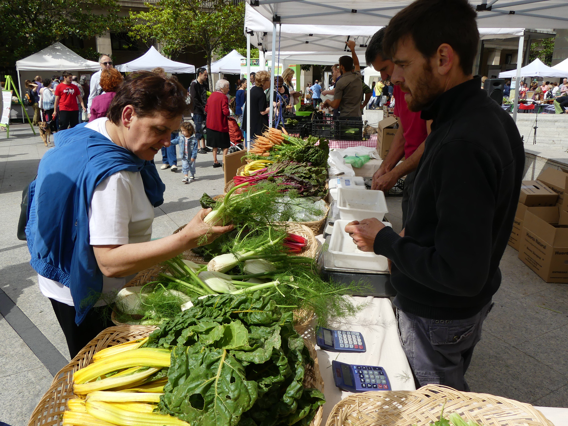 Pulsa para ver la imagen en grande