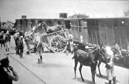 A.M.Z. Sig. 04723. Zaragoza. Transporte de caballerías del Ejército. Imagen de archivo diapositiva.