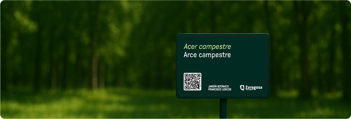Ejemplo de código QR para información de especies en el jardín botánico