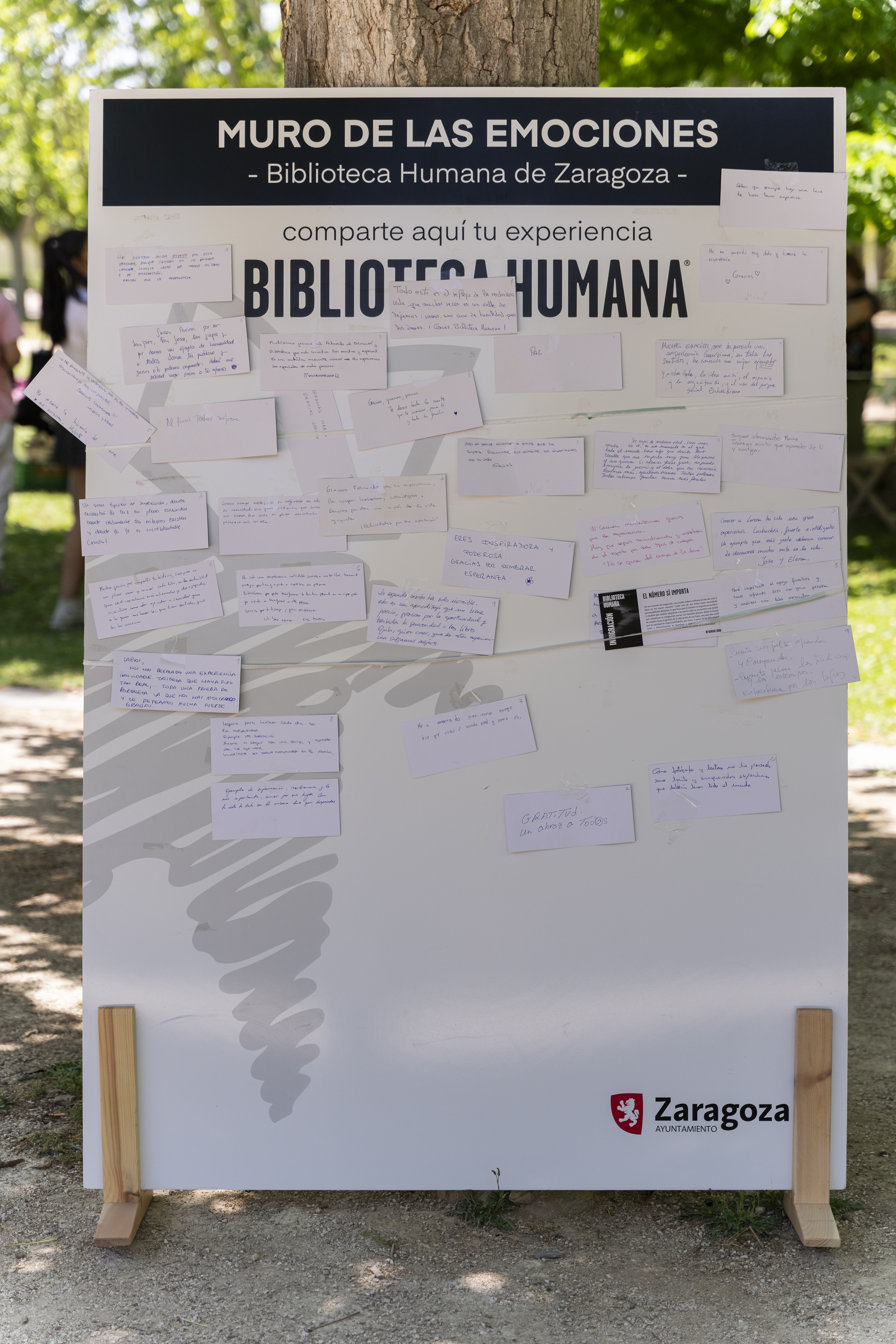 Galería de imágenes: 70 de 81