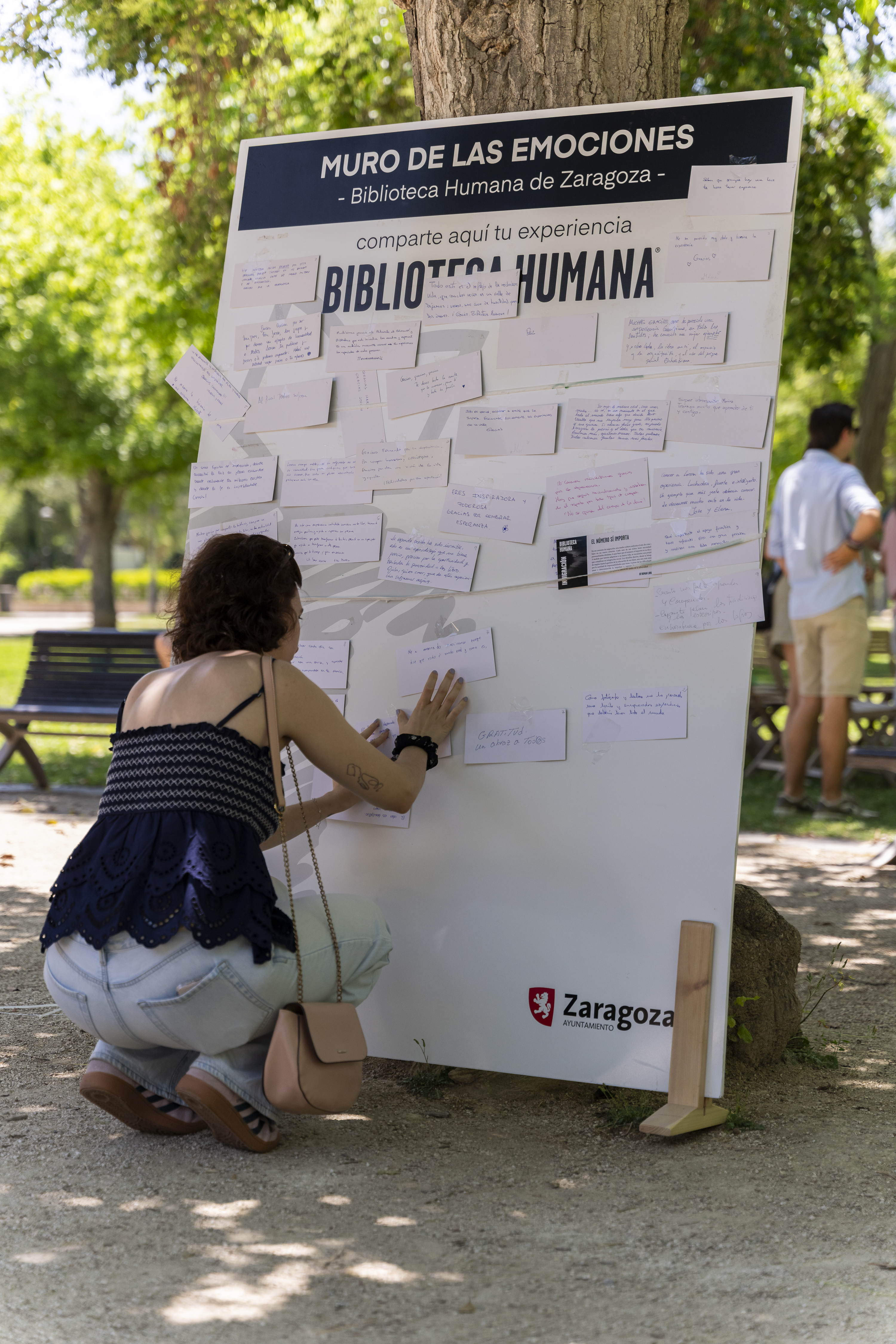 Galería de imágenes: 71 de 81