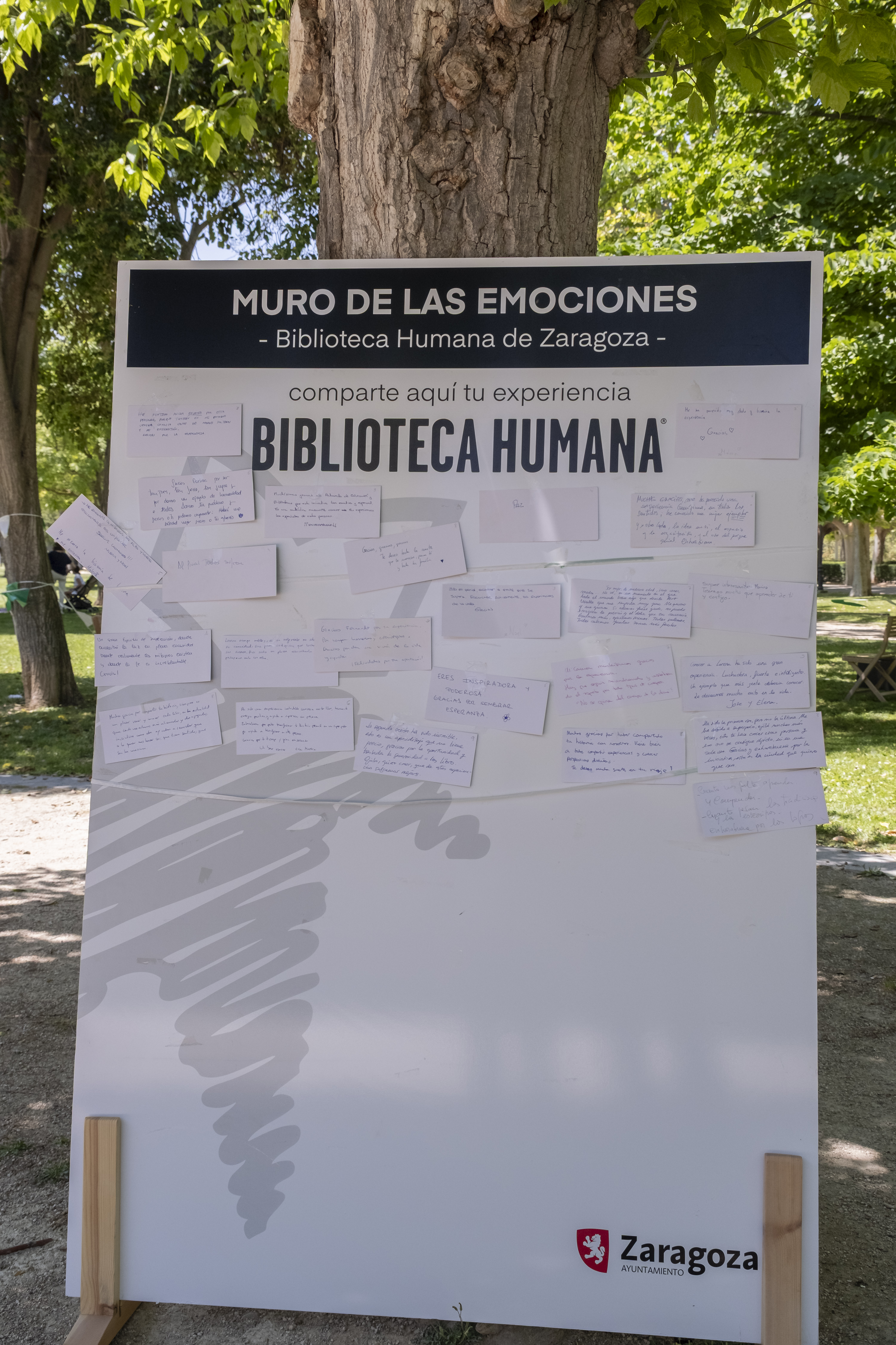 Galería de imágenes: 74 de 81