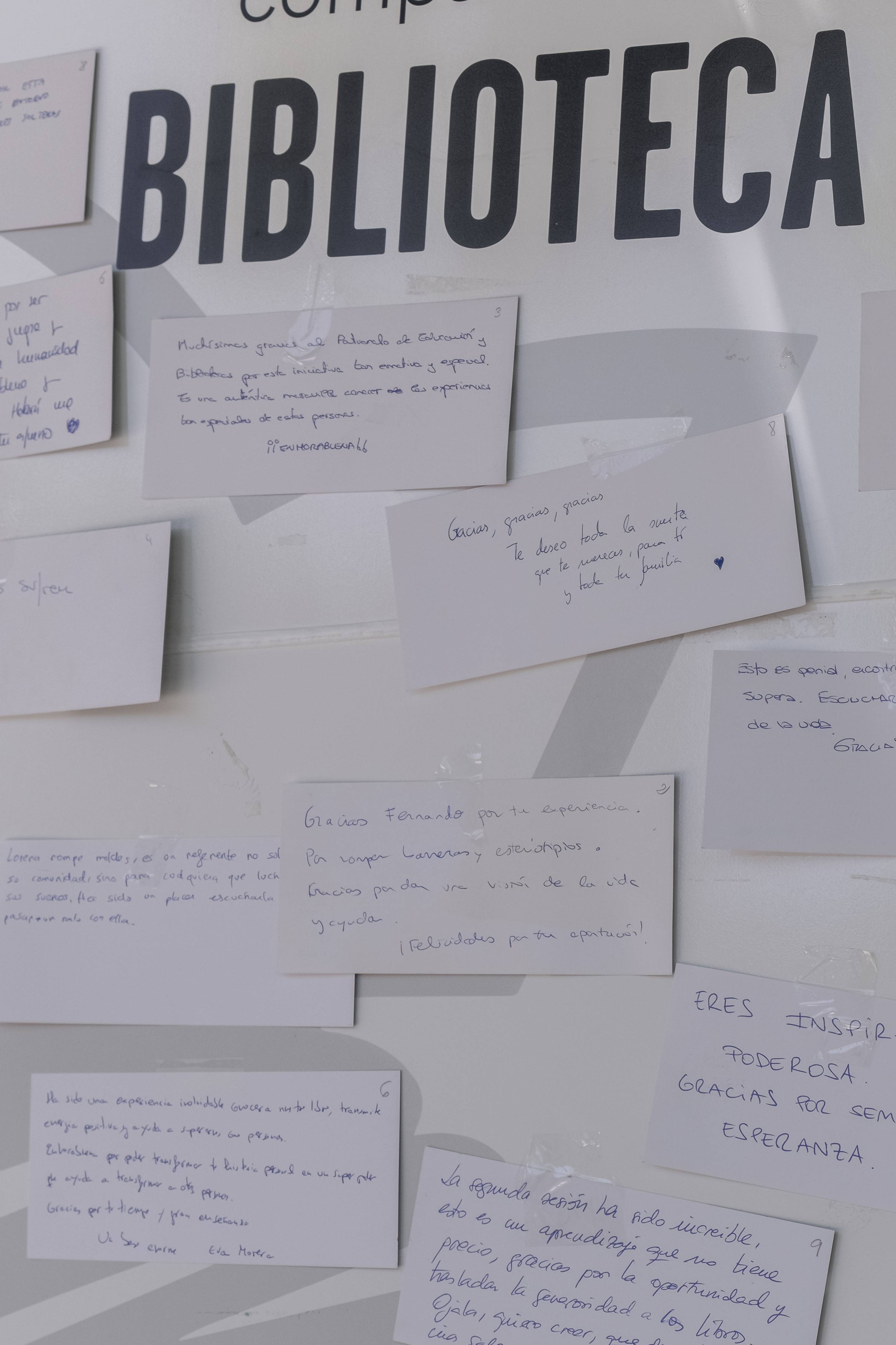 Galería de imágenes: 75 de 81