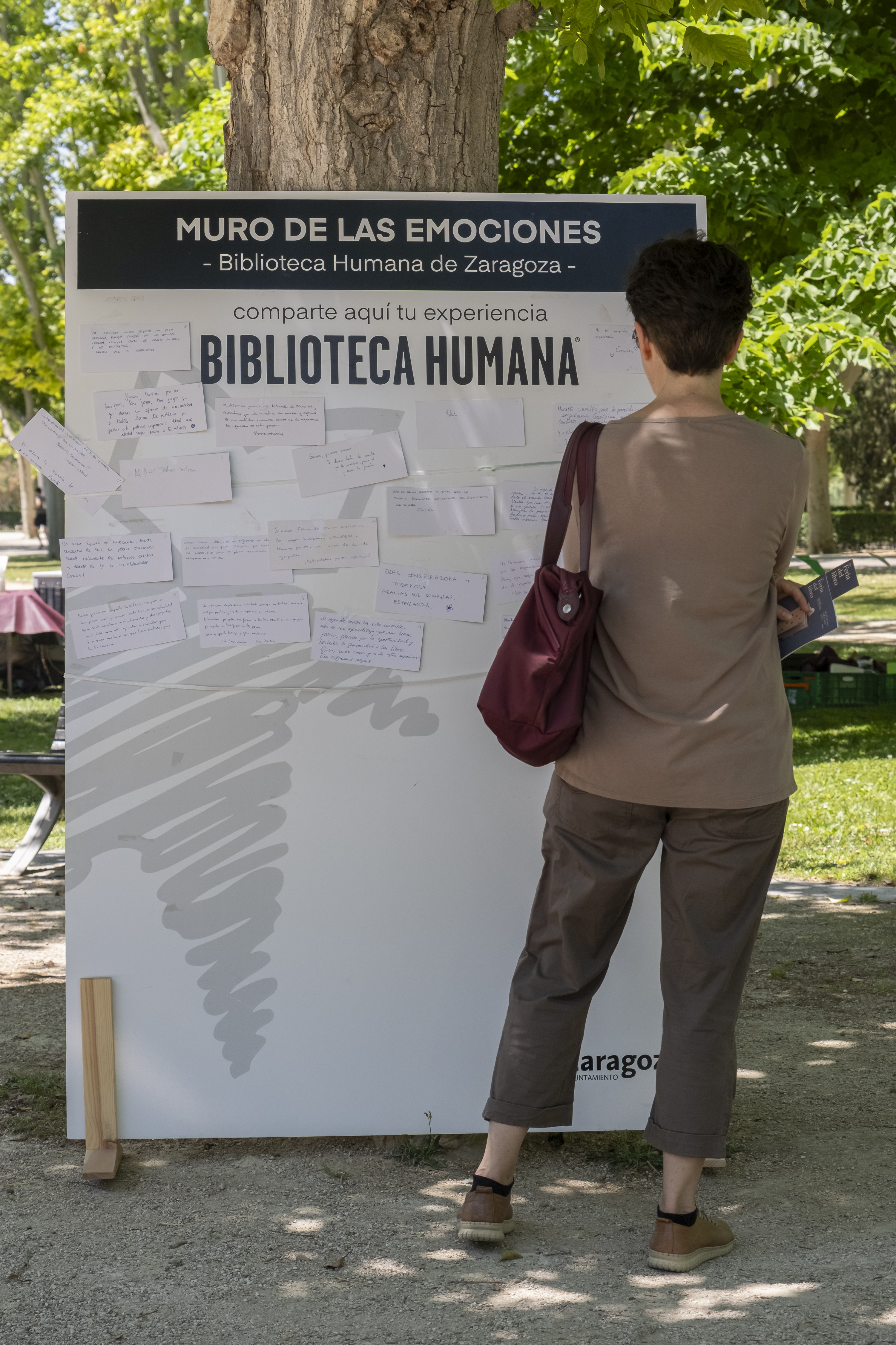 Galería de imágenes: 76 de 81