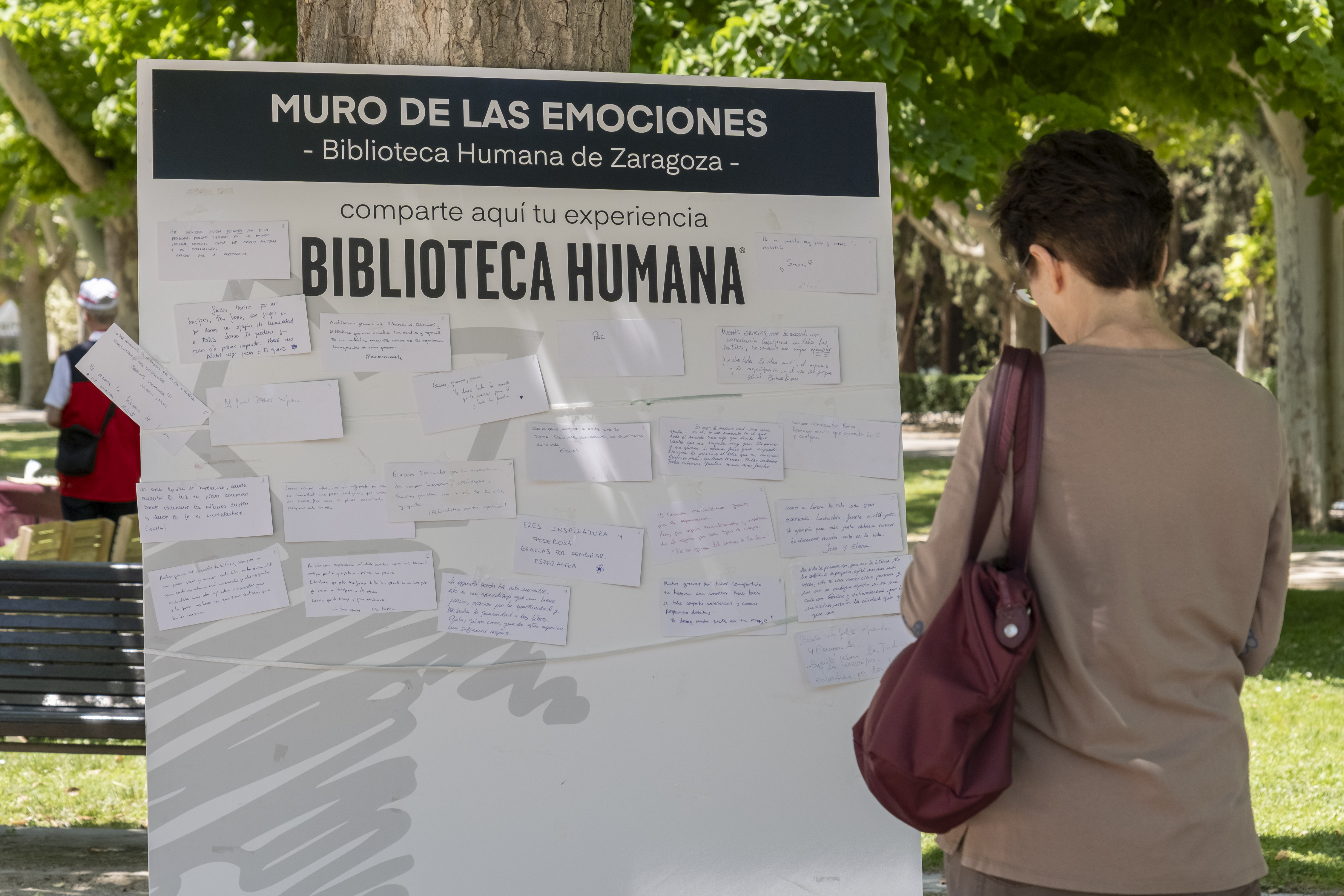 Galería de imágenes: 77 de 81