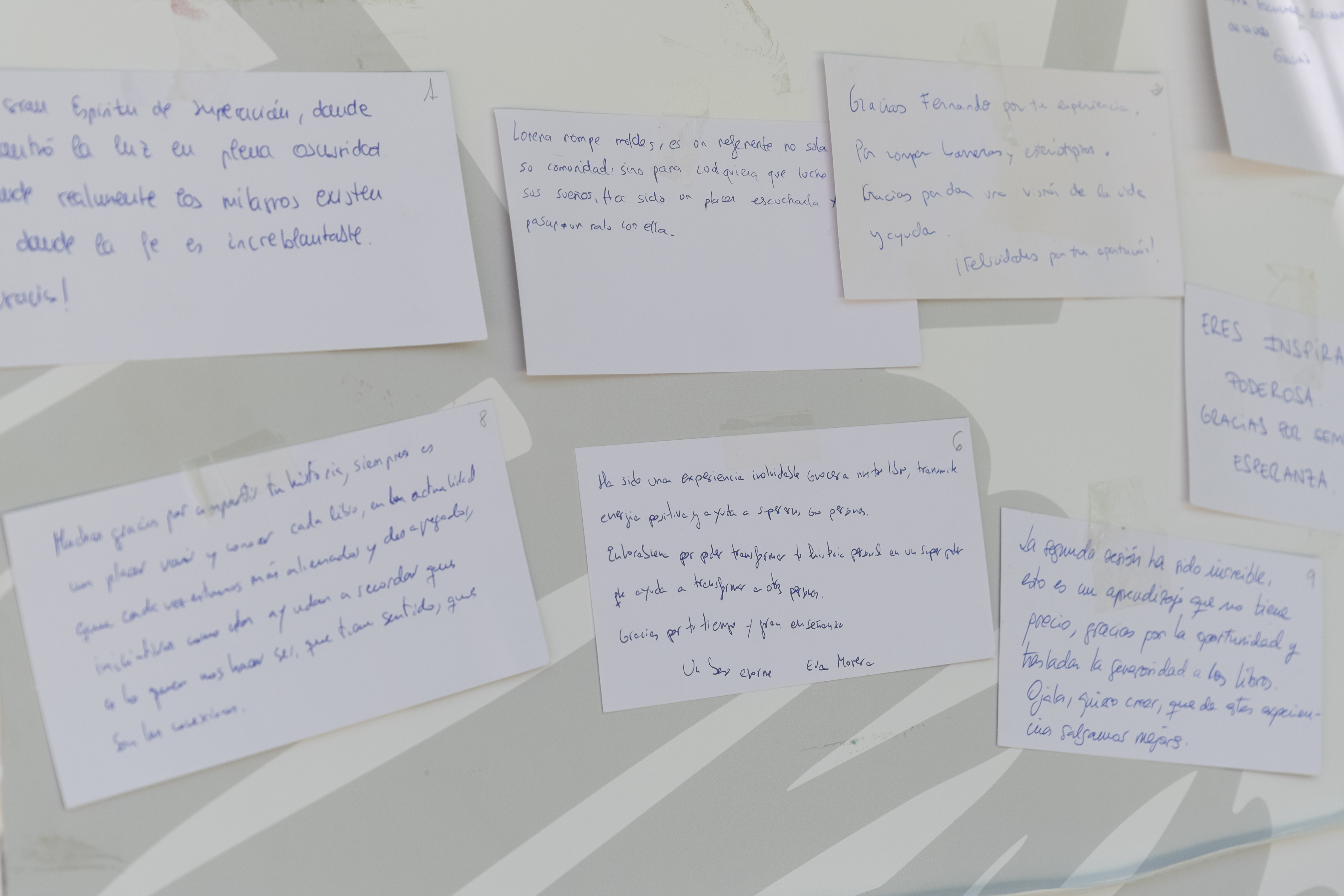 Galería de imágenes: 78 de 81