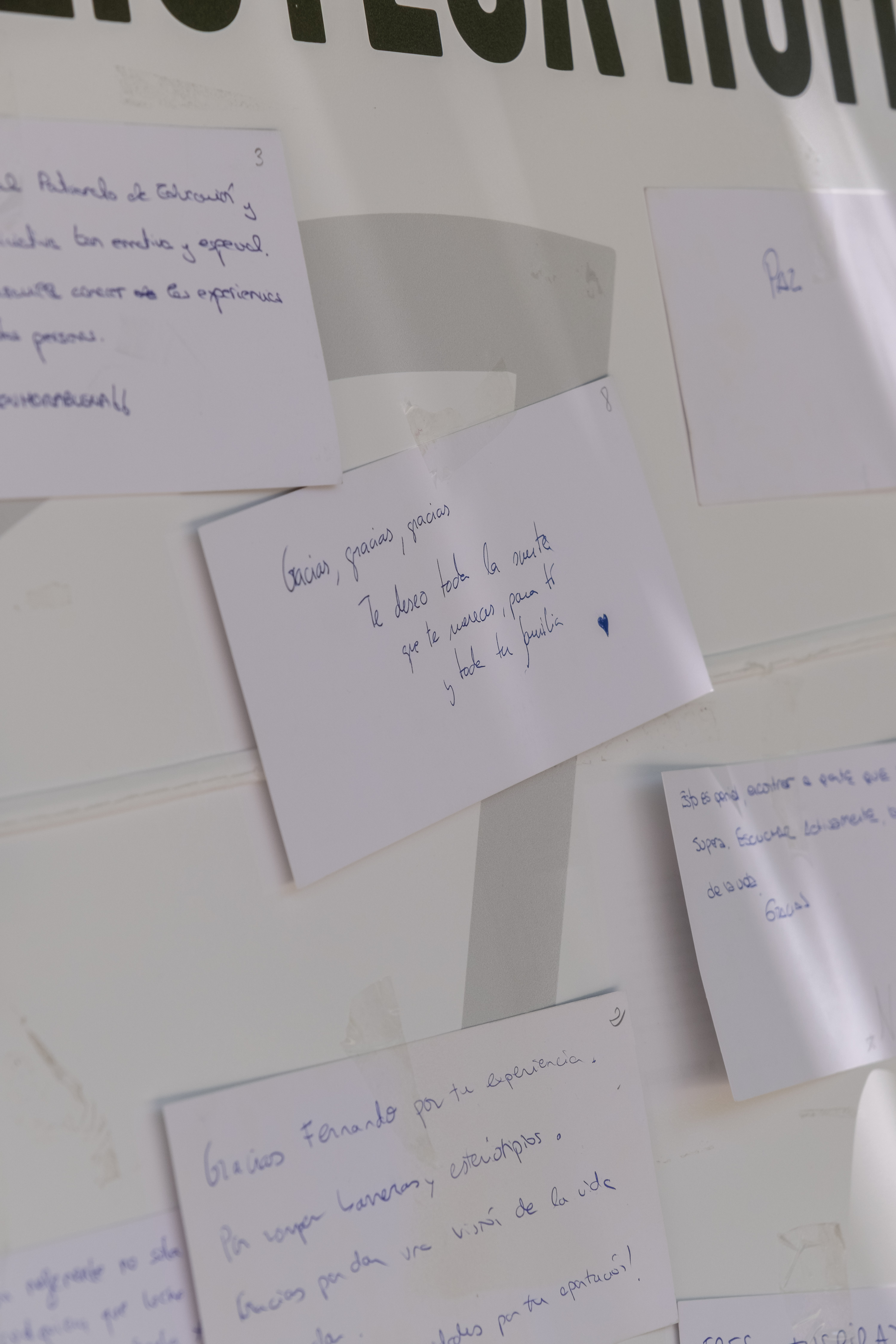 Galería de imágenes: 79 de 81