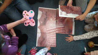 Proyectos educativos: Primaria y Secundaria