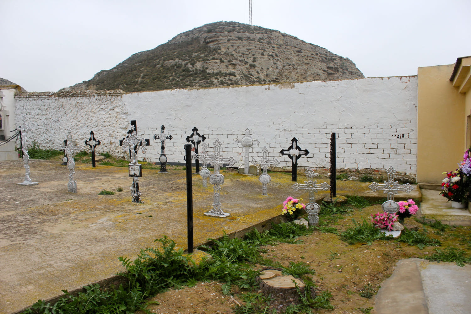 Galería de imágenes: 4 de 11