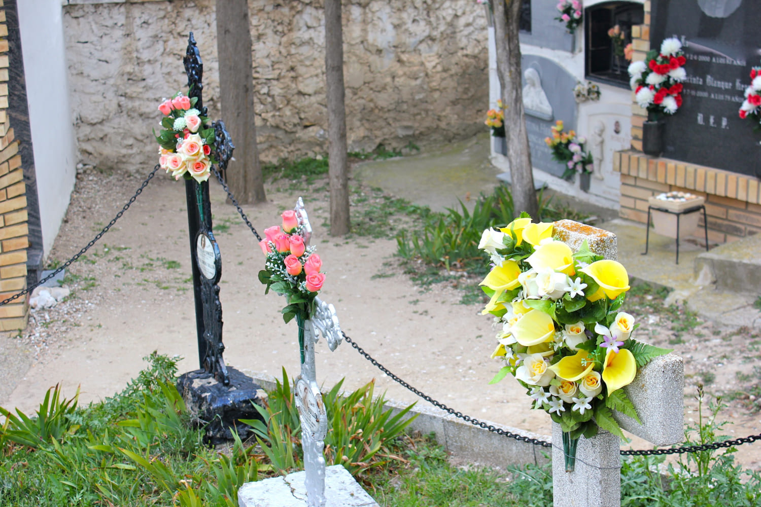 Galería de imágenes: 7 de 11