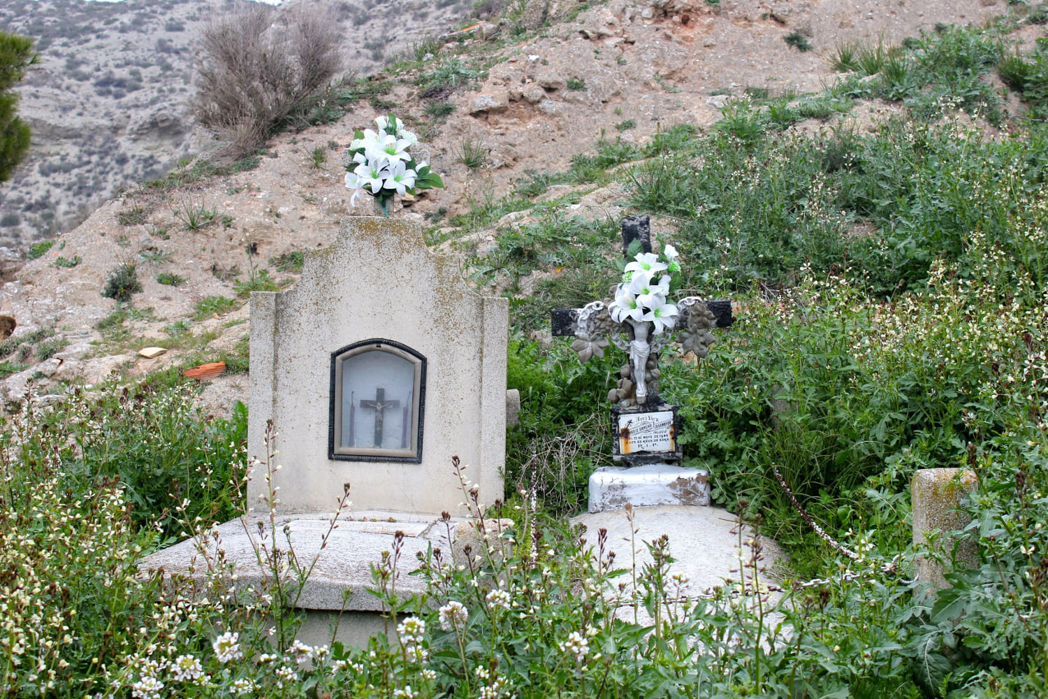 Galería de imágenes: 8 de 11