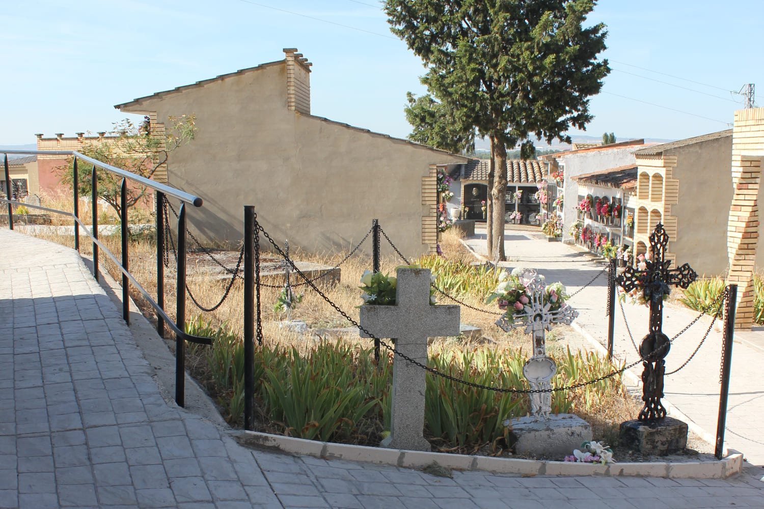 Galería de imágenes: 11 de 11