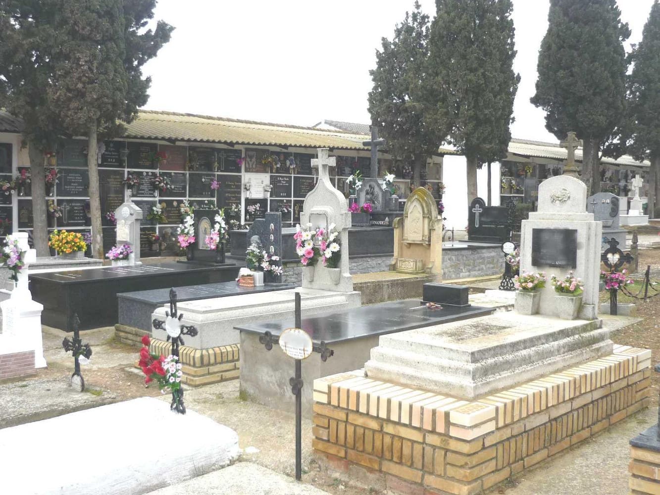 Galería de imágenes: 2 de 18