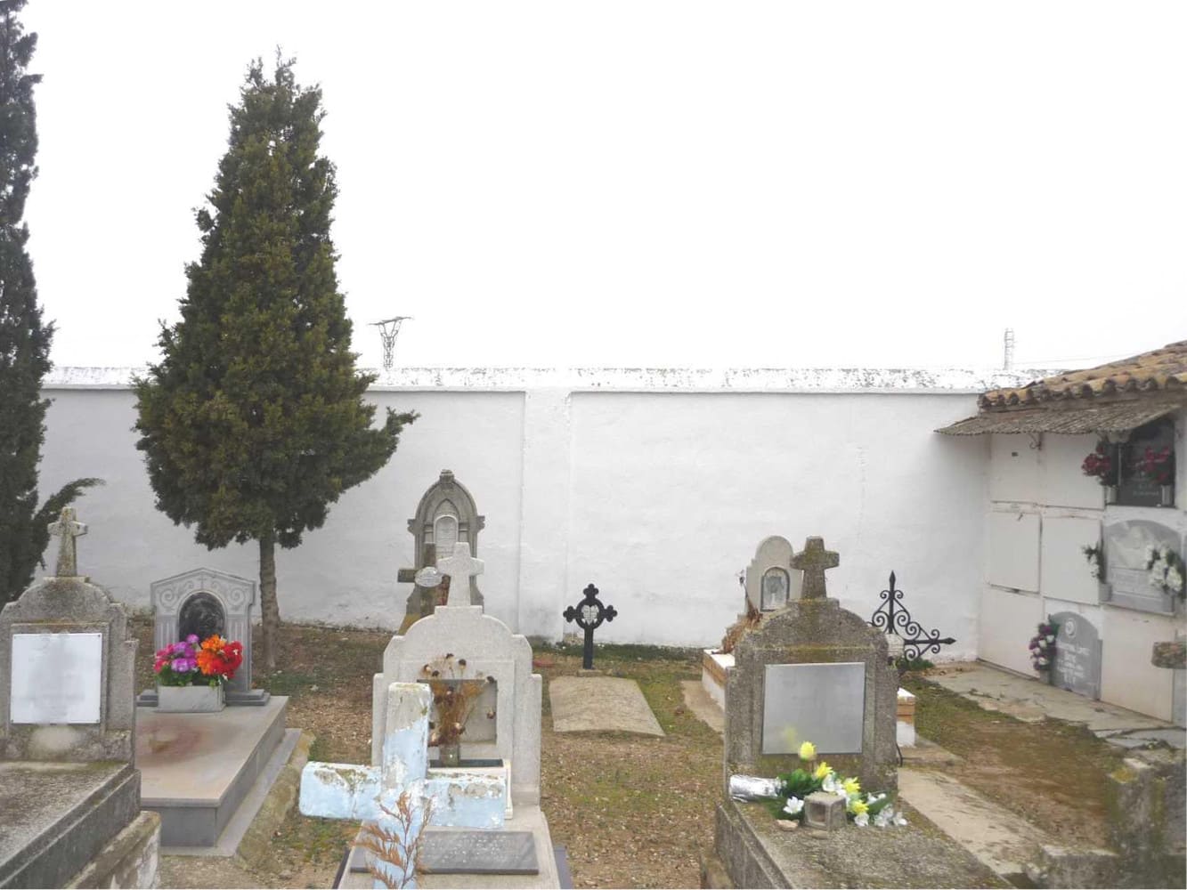 Galería de imágenes: 5 de 18