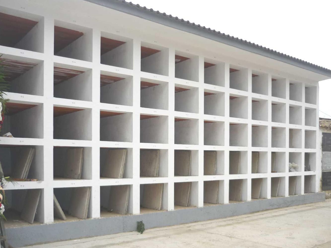 Galería de imágenes: 9 de 18