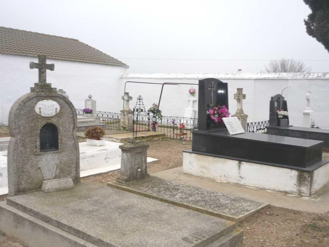 Galería de imágenes: 11 de 18