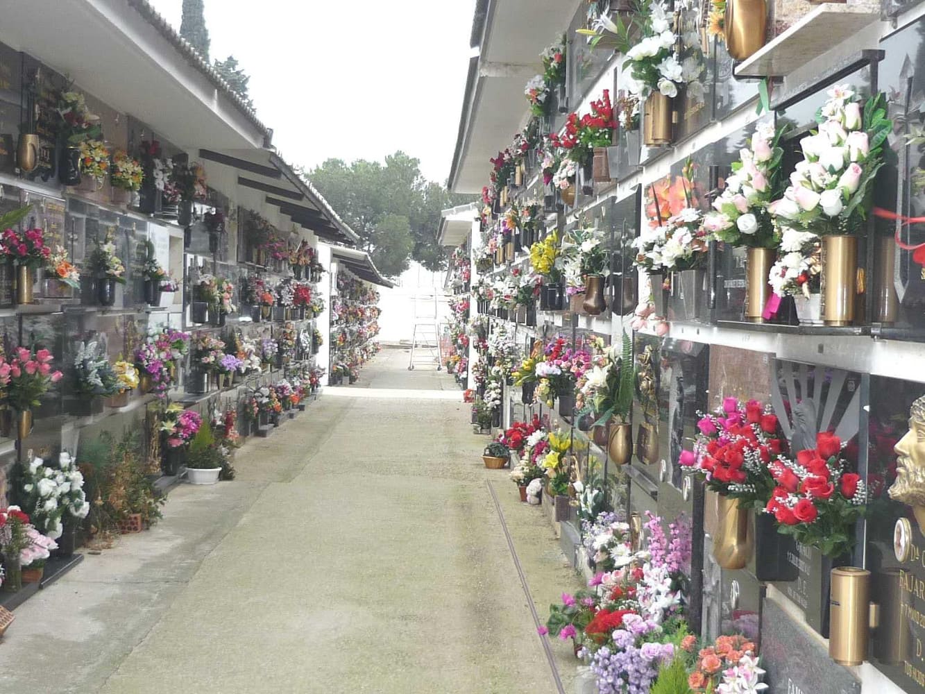 Galería de imágenes: 12 de 18