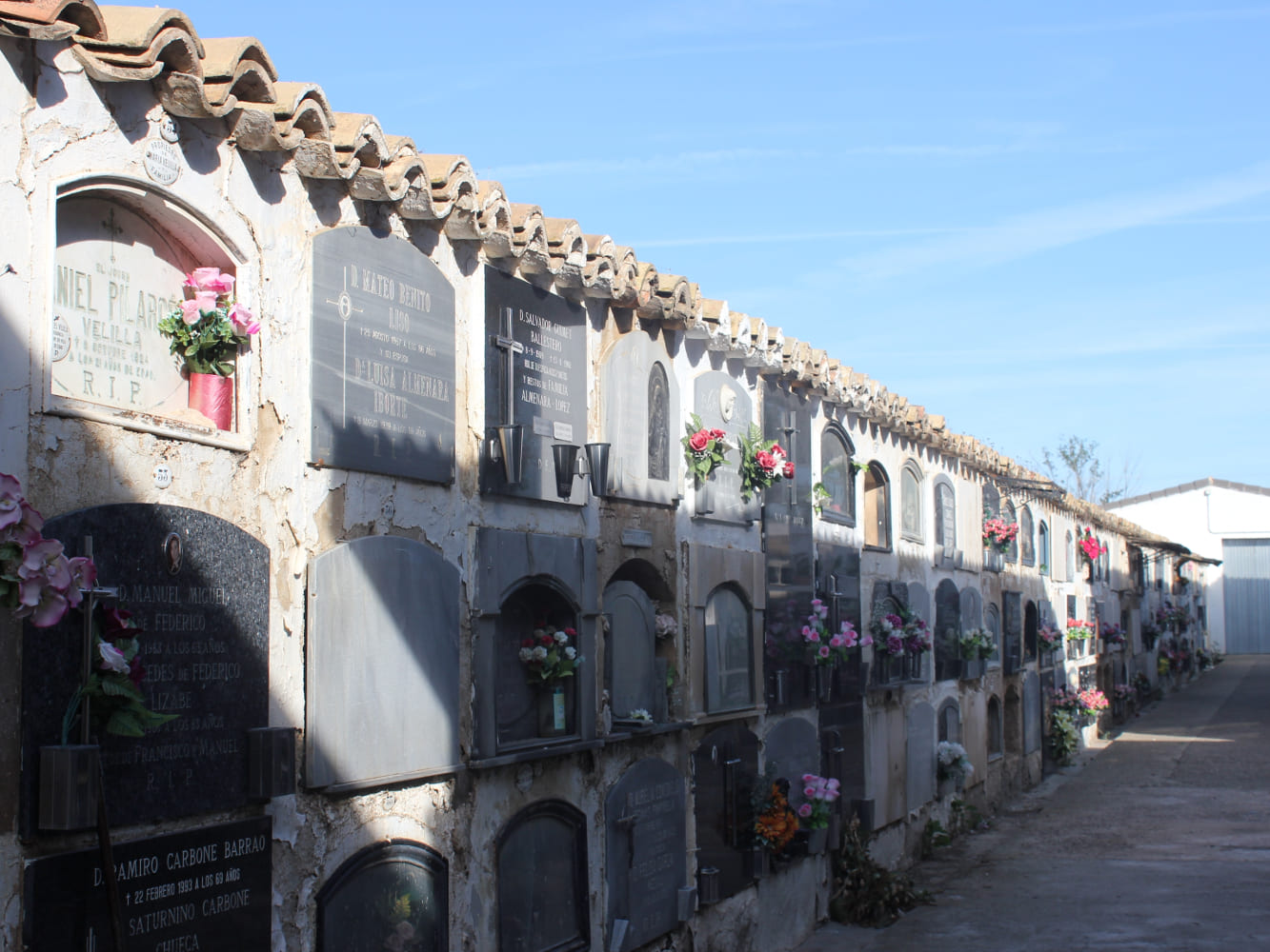 Galería de imágenes: 15 de 18