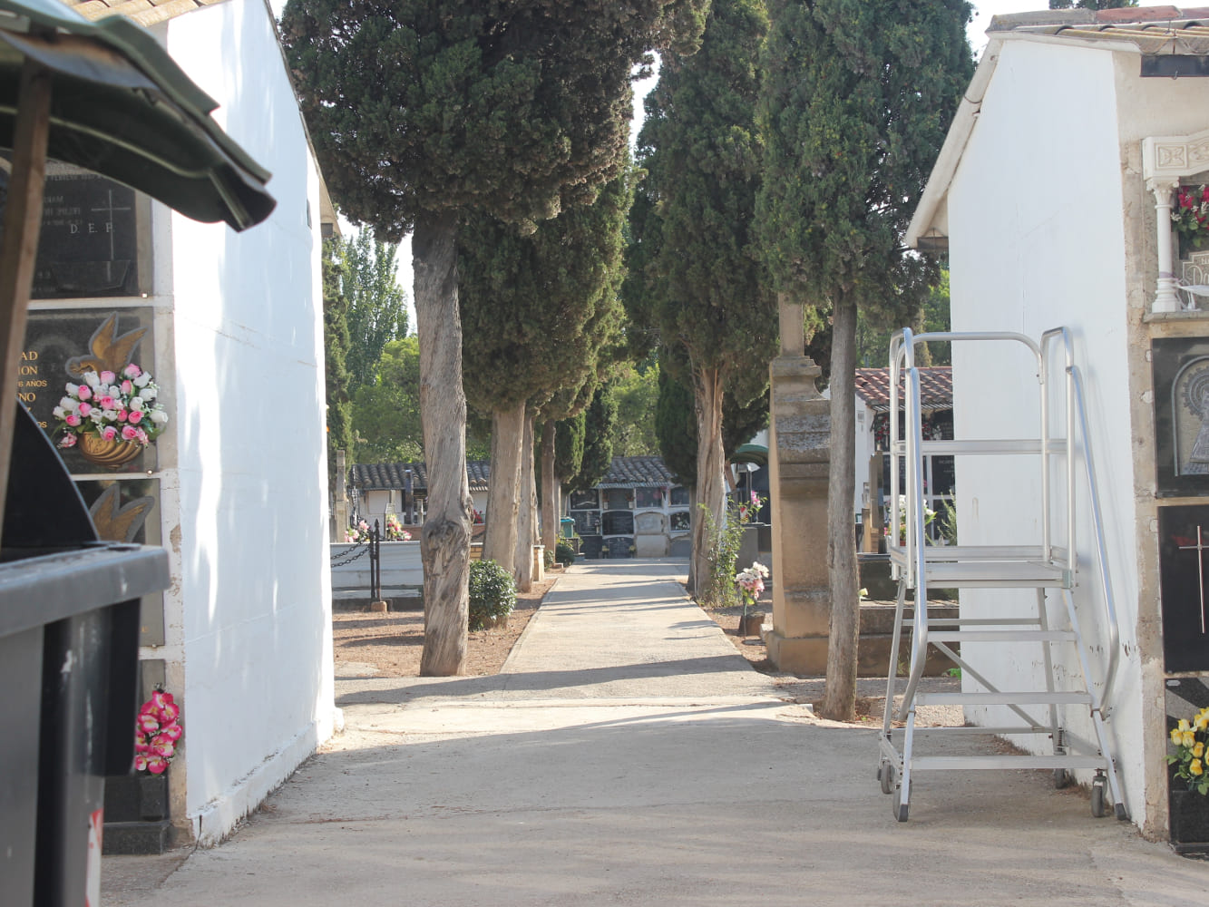 Galería de imágenes: 16 de 18