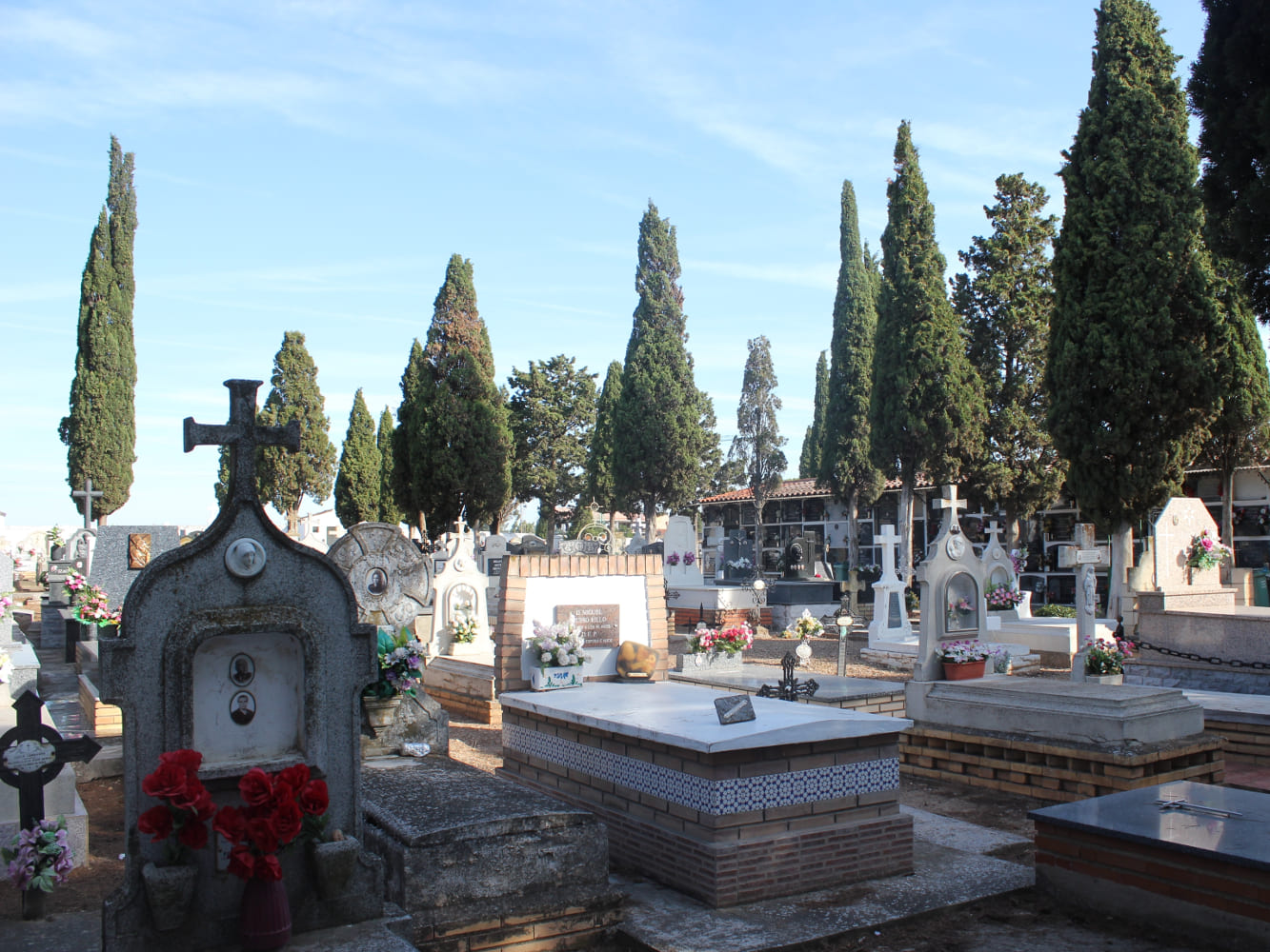 Galería de imágenes: 18 de 18