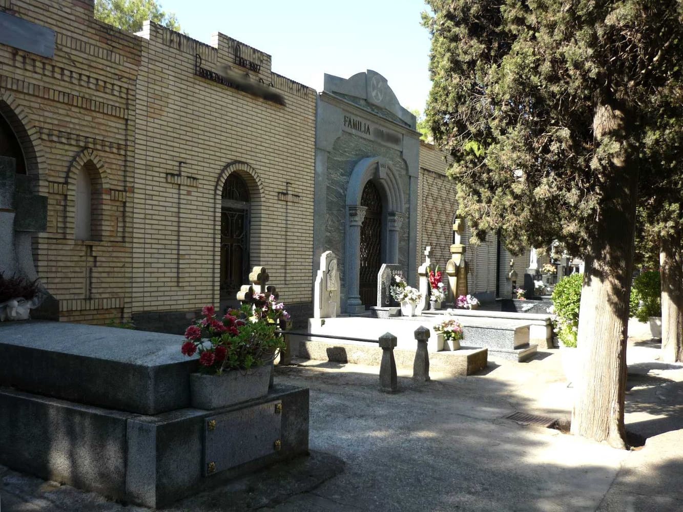 Galería de imágenes: 1 de 12