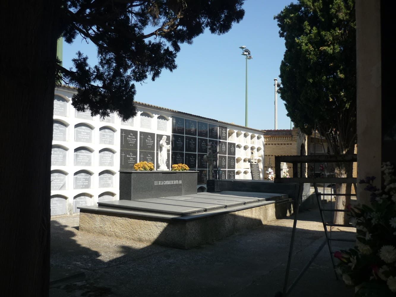 Galería de imágenes: 5 de 12