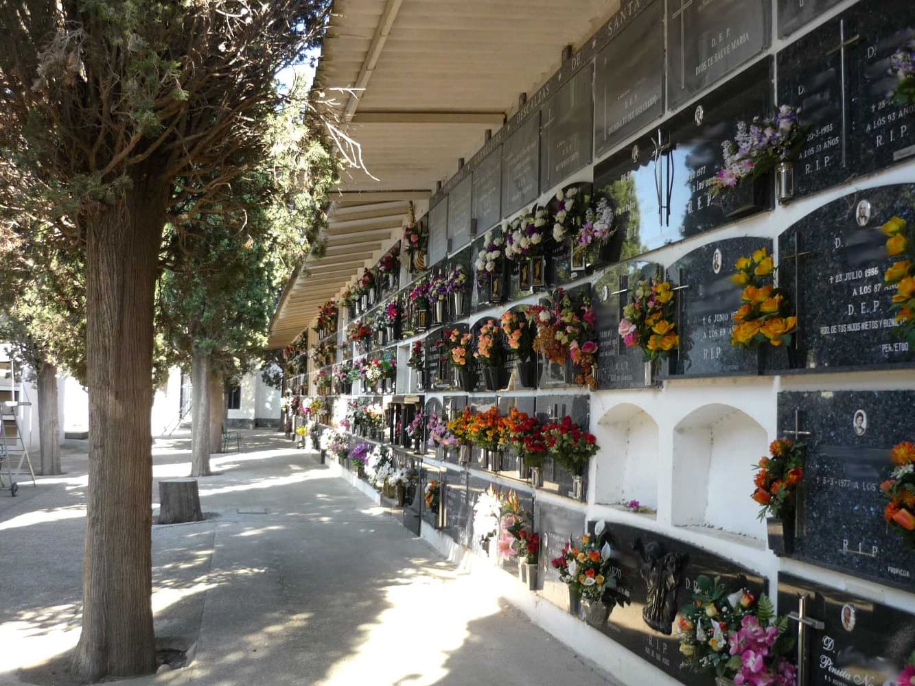 Galería de imágenes: 8 de 12