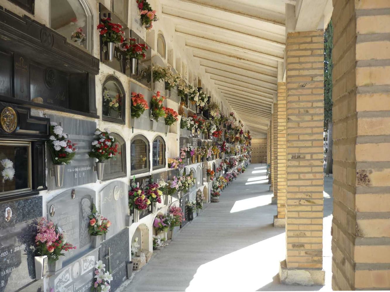 Galería de imágenes: 9 de 12