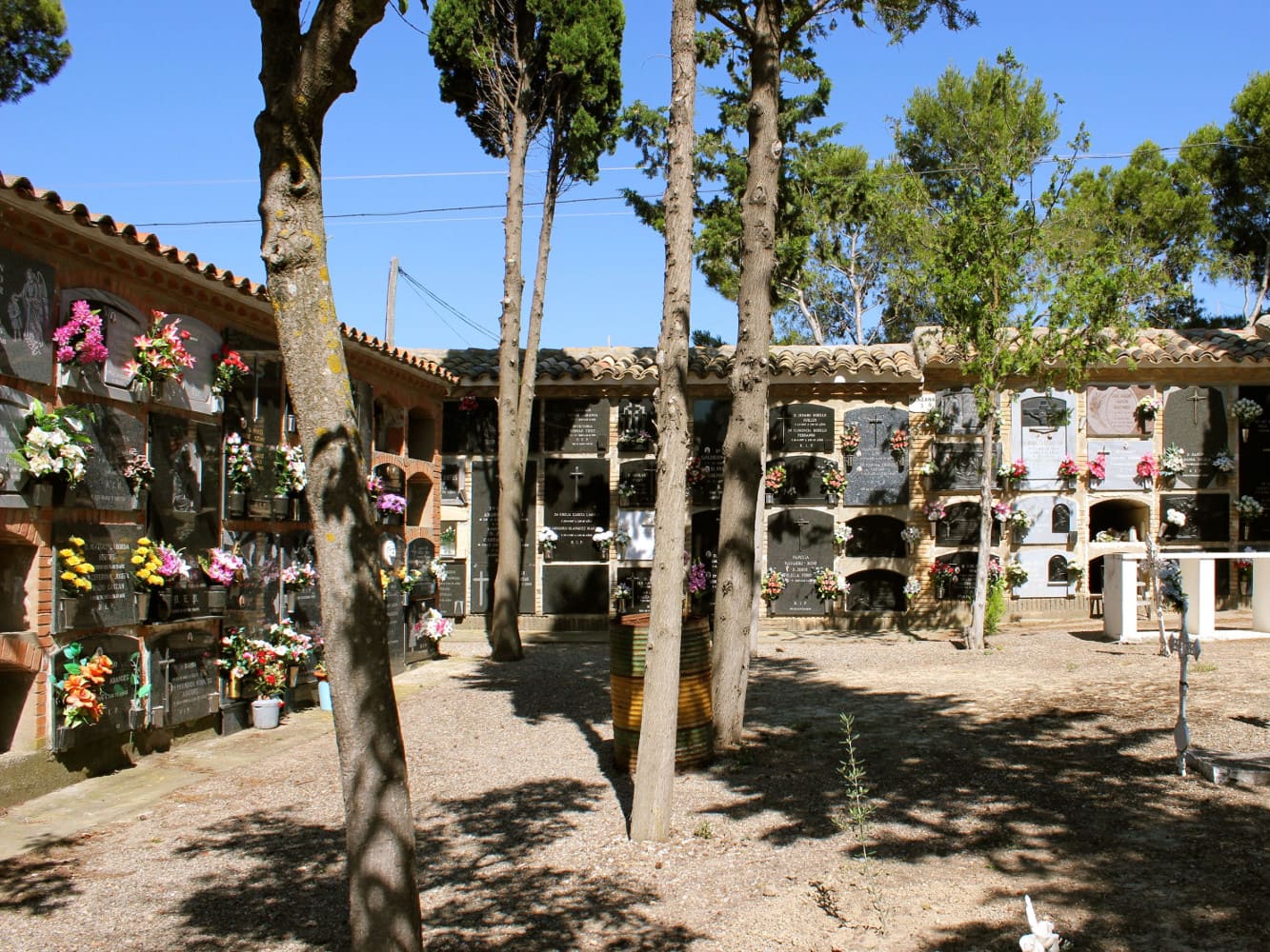 Galería de imágenes: 1 de 7