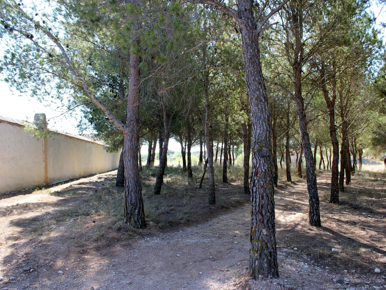 Galería de imágenes: 3 de 7