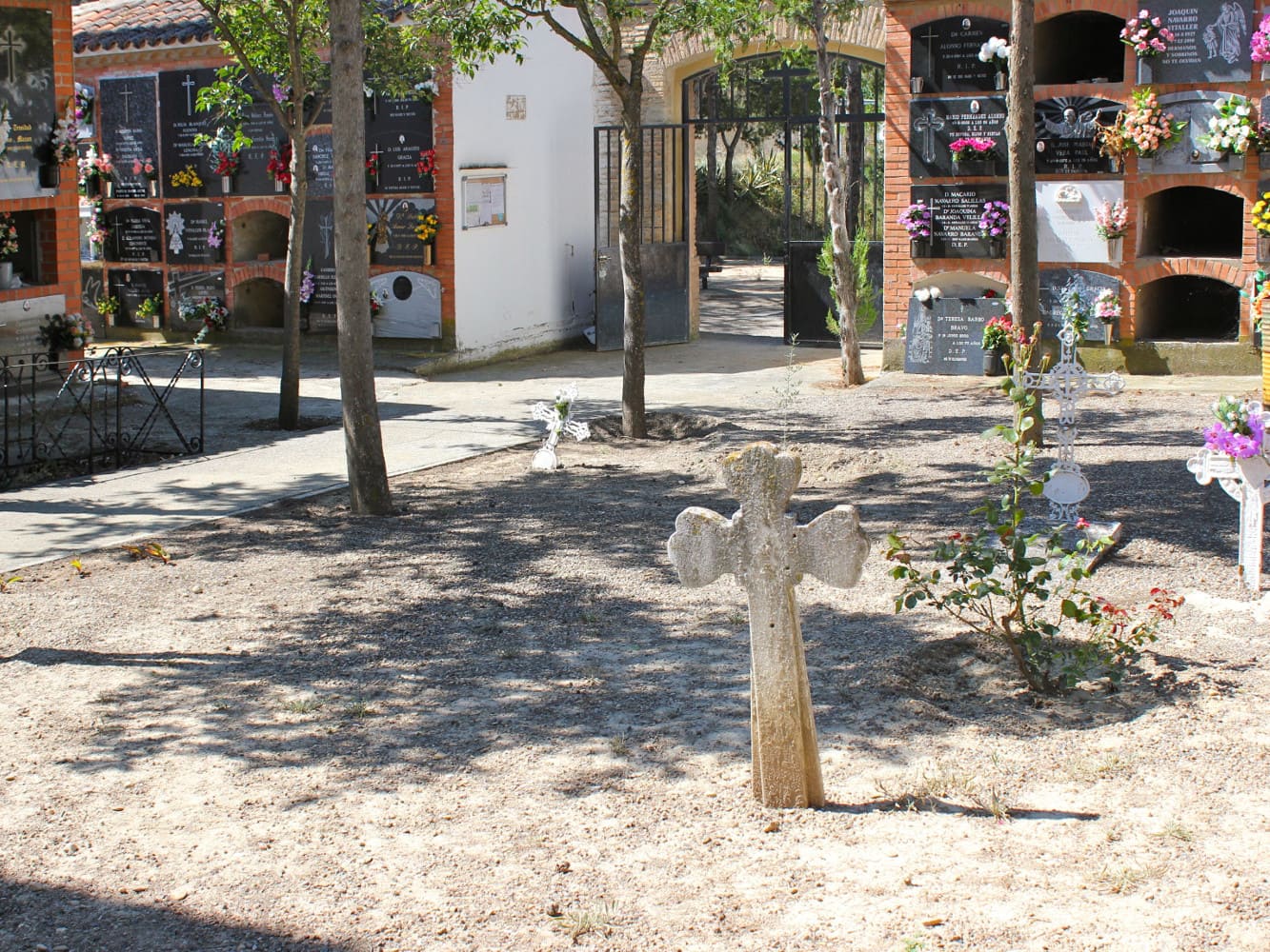 Galería de imágenes: 4 de 7