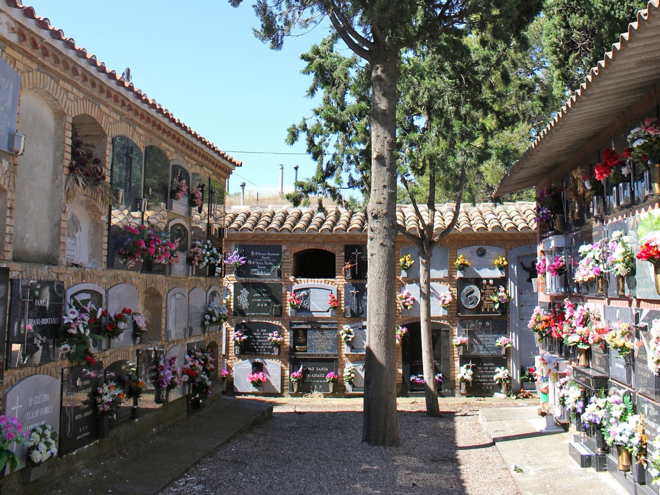 Galería de imágenes: 5 de 7