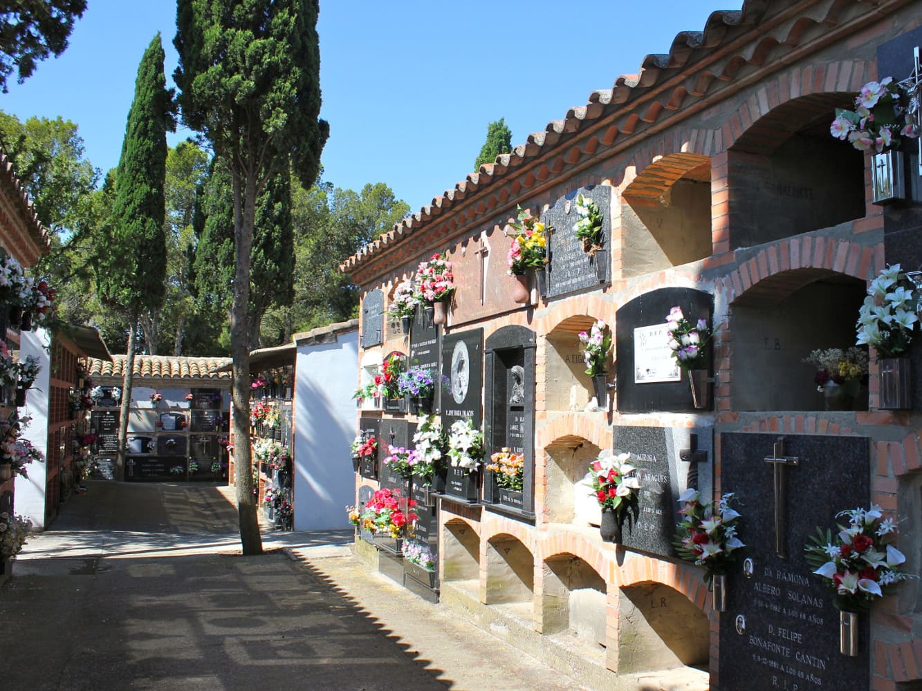 Galería de imágenes: 6 de 7