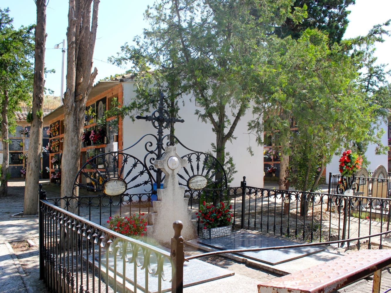 Galería de imágenes: 7 de 7