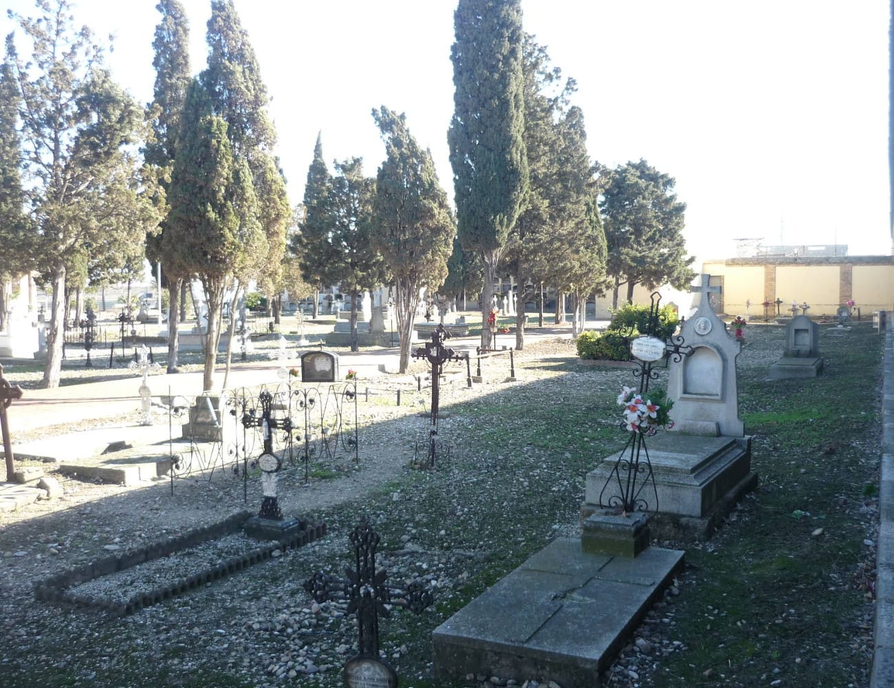 Galería de imágenes: 8 de 12