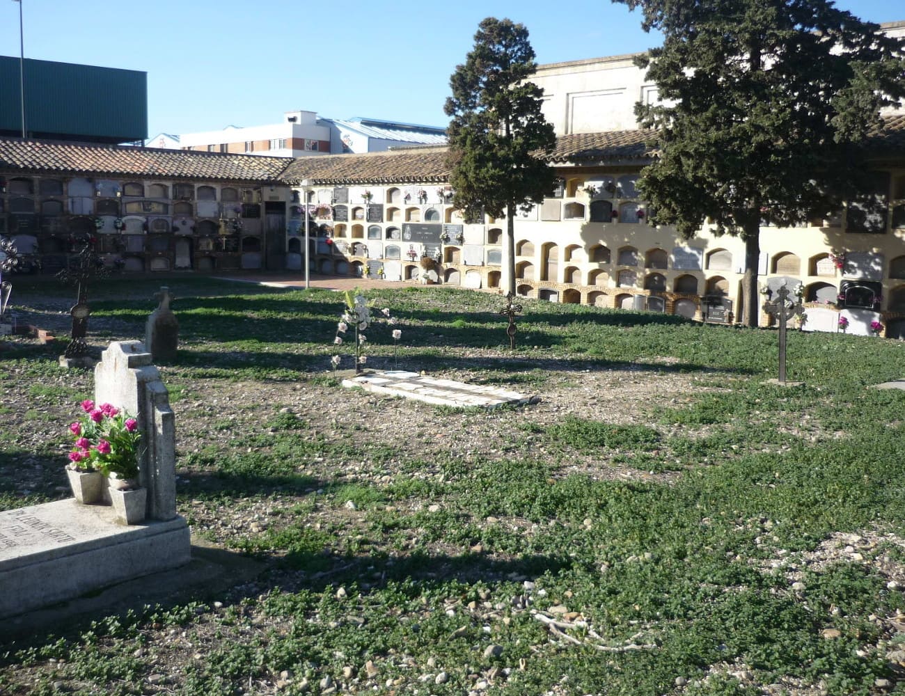 Galería de imágenes: 11 de 12