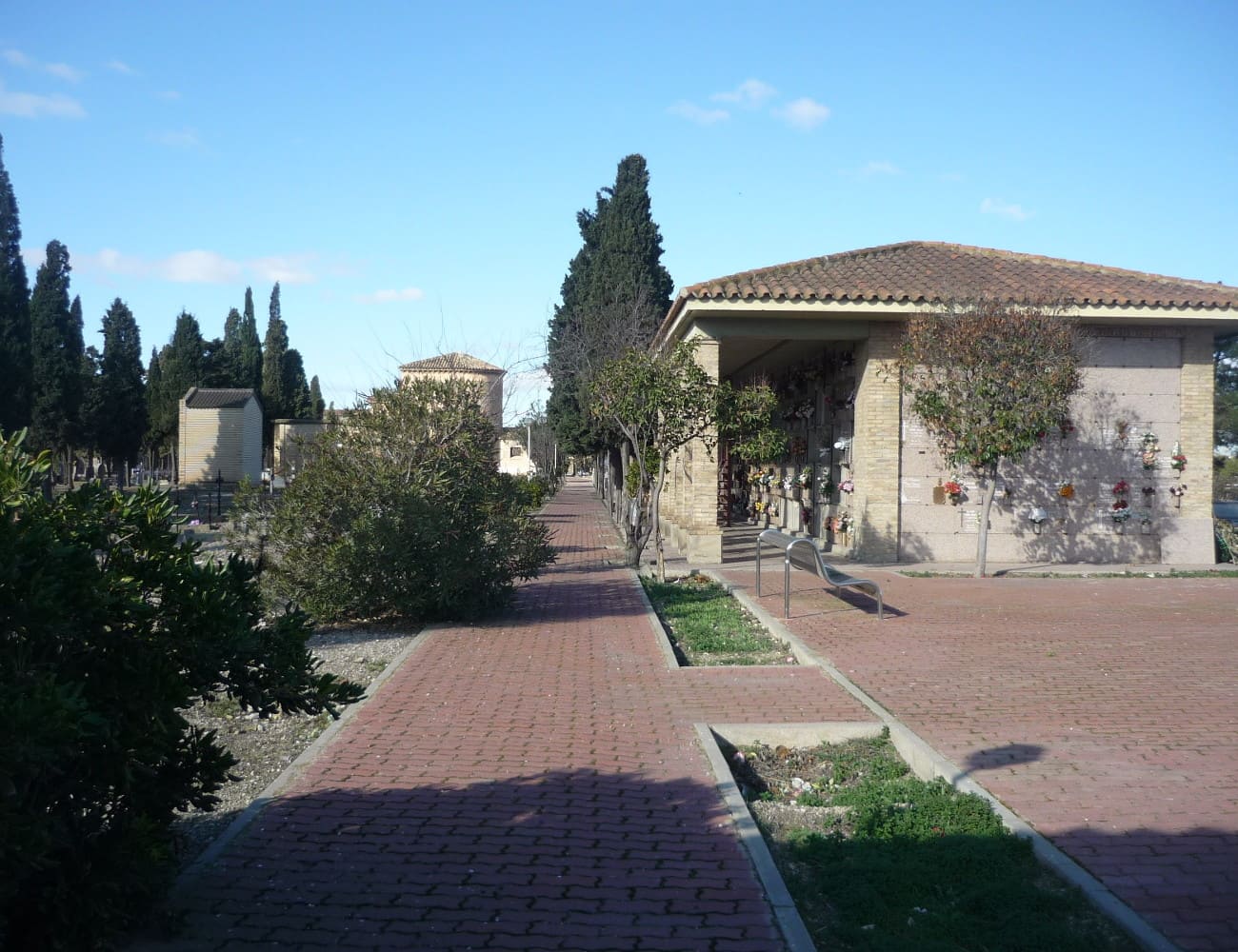 Galería de imágenes: 12 de 12